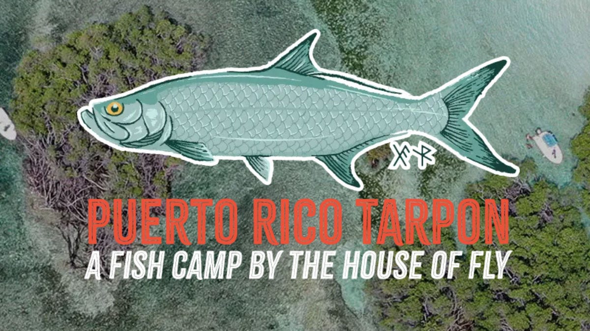 Puerto Rico Tarpon Camp Puerto Rico Tarpon - A Fish Camp By The House of Fly