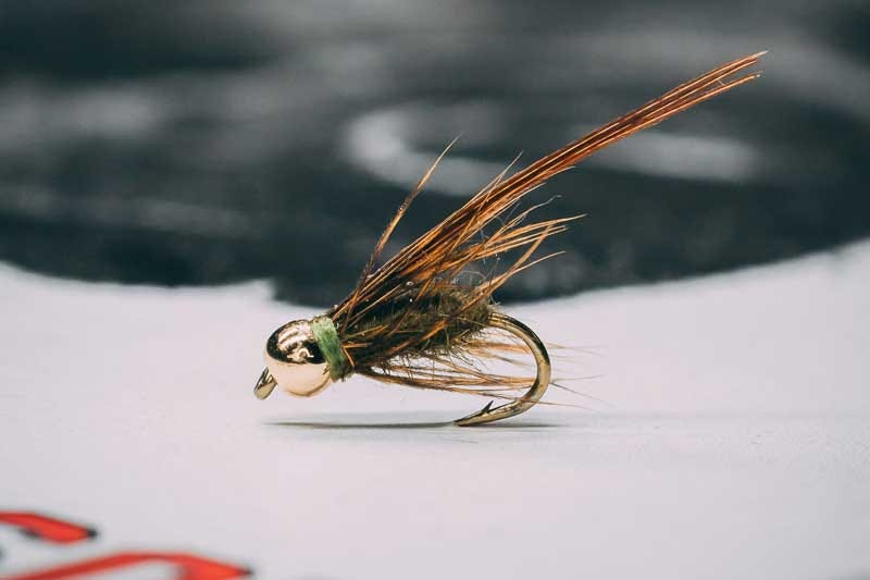 Gold Bead Caddis Pupa Olive 16