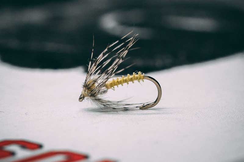 PMD (pale morning dun) soft hackle 16