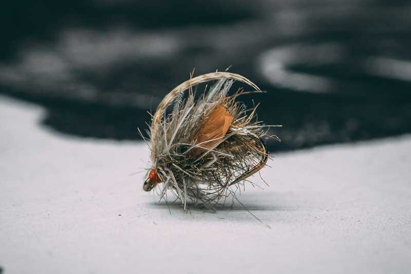 Transluscent Caddis Pupa Olive 16